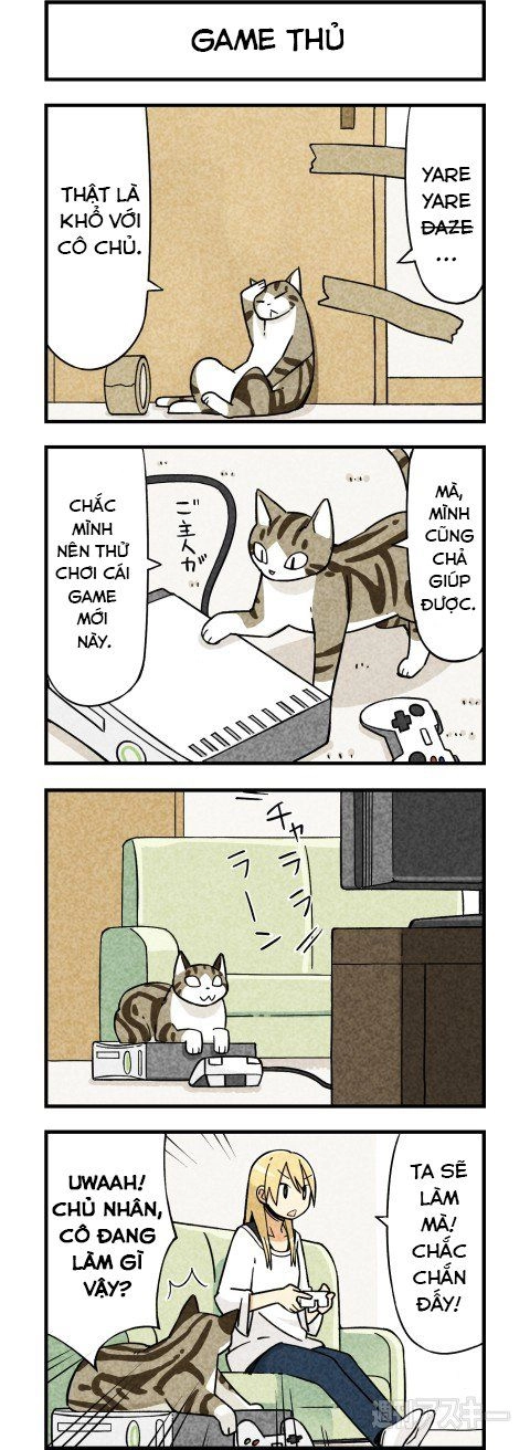 We Are Cat Chapter 2 - 5