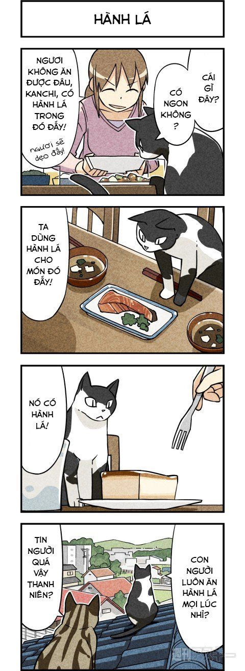 We Are Cat Chapter 3 - 2