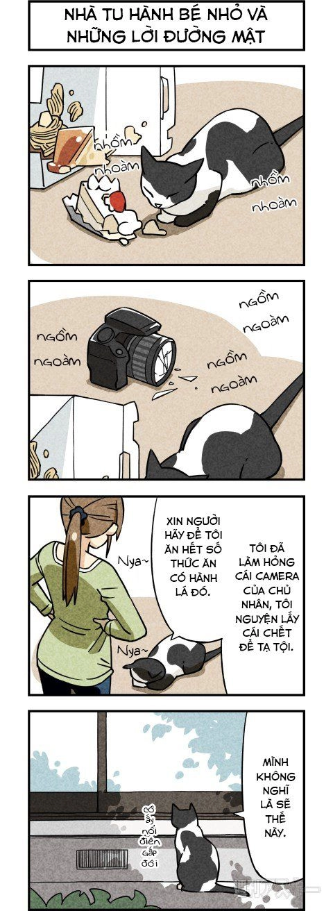 We Are Cat Chapter 3 - 3