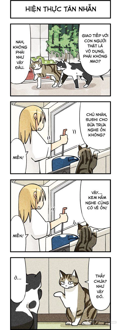 We Are Cat Chapter 3 - 4