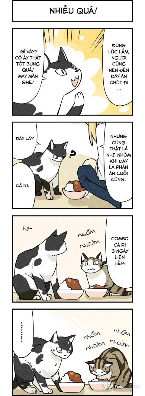 We Are Cat Chapter 3 - 5