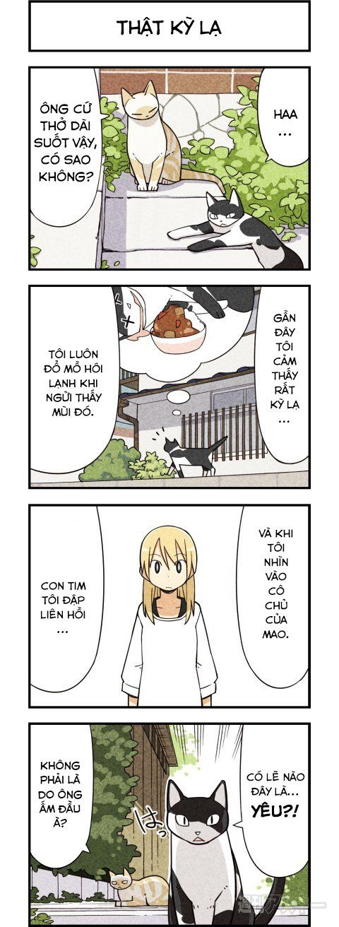 We Are Cat Chapter 5 - 2