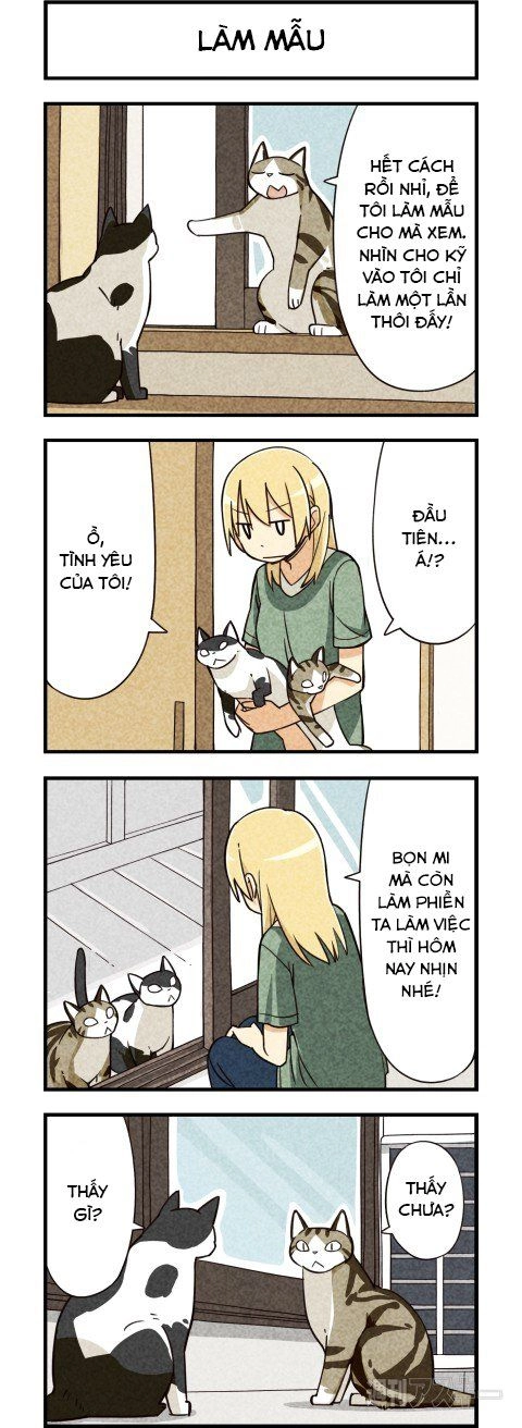 We Are Cat Chapter 5 - 4