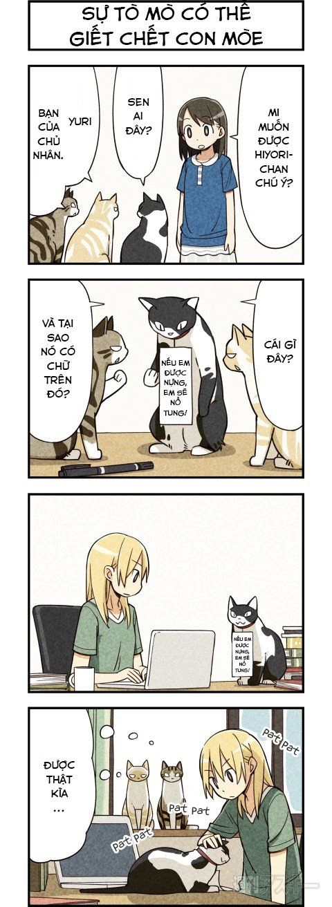 We Are Cat Chapter 5 - 5