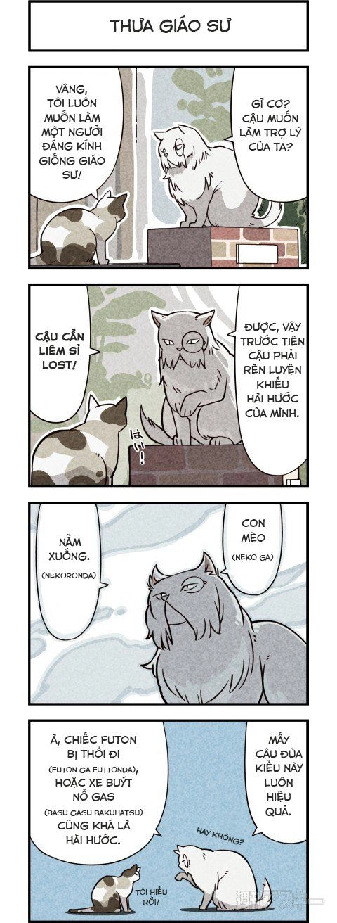 We Are Cat Chapter 6 - 2