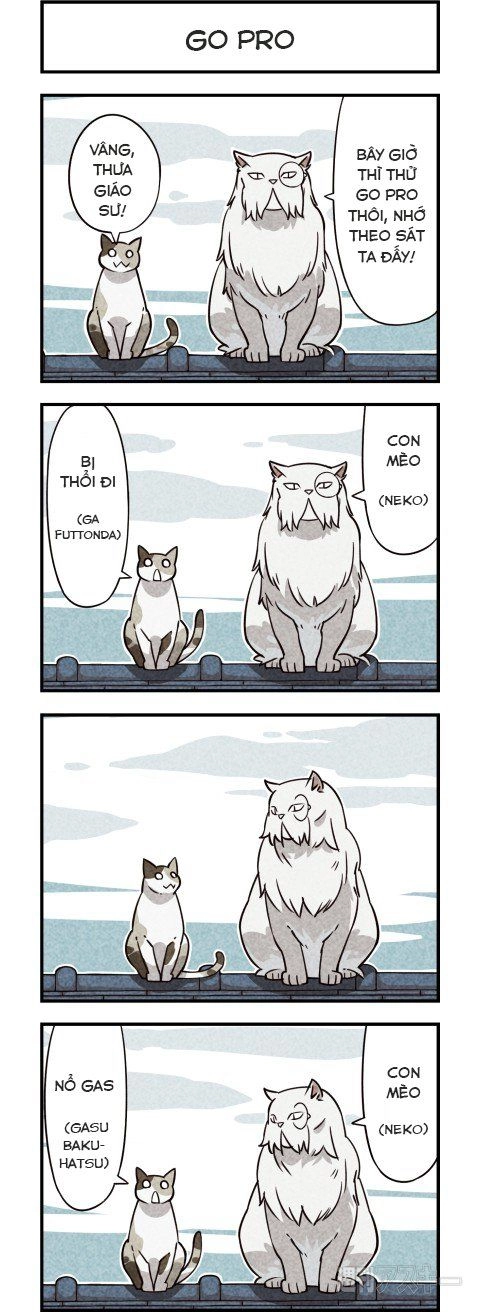 We Are Cat Chapter 6 - 3