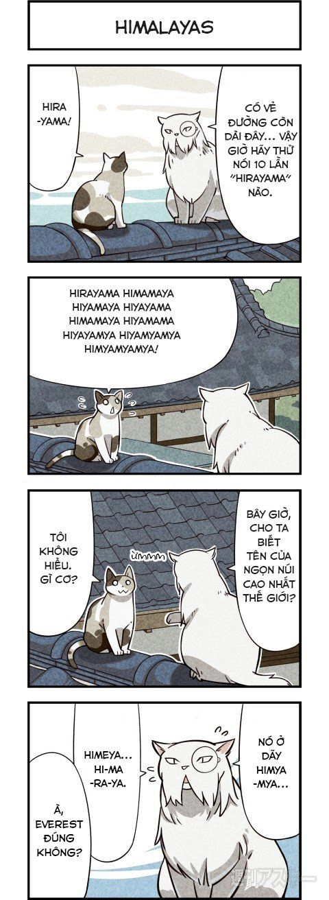 We Are Cat Chapter 6 - 4