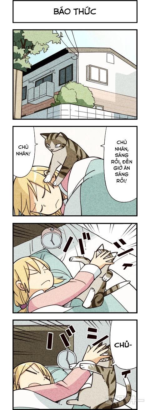 We Are Cat Chapter 7 - 2