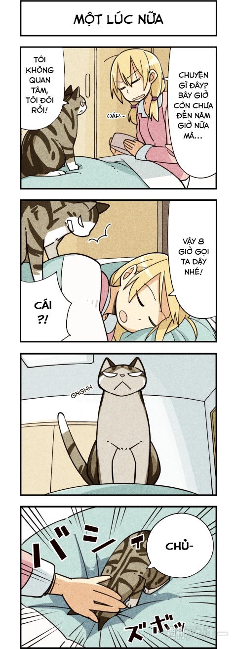 We Are Cat Chapter 7 - 3