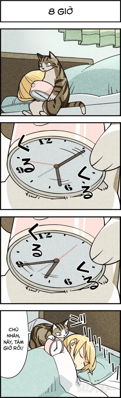 We Are Cat Chapter 7 - 4