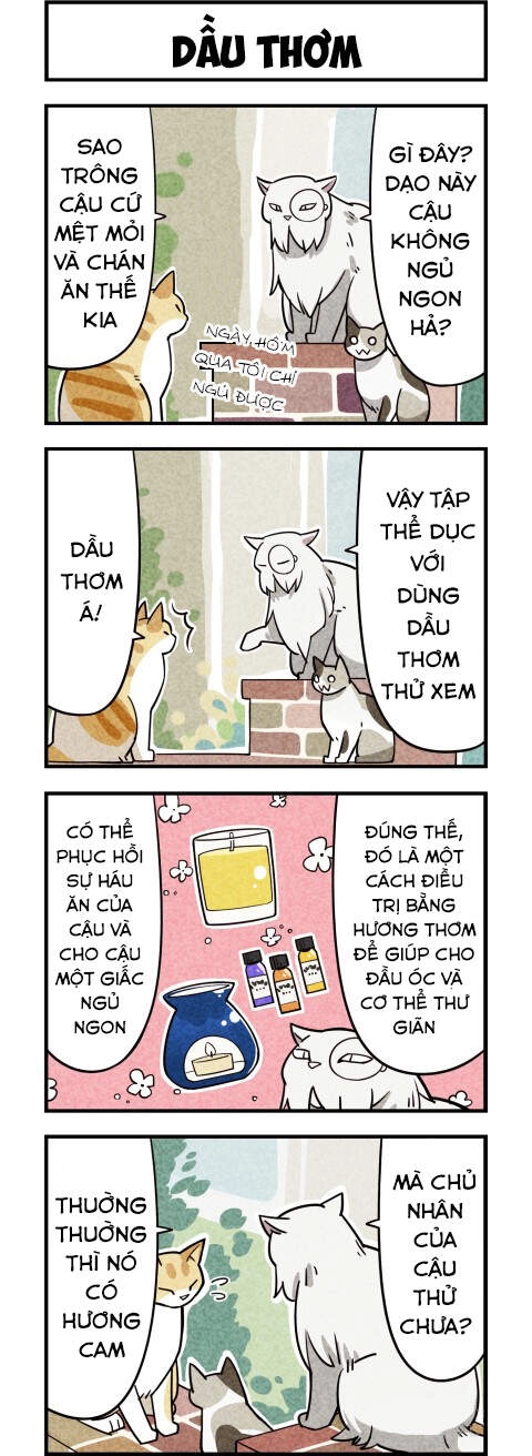 We Are Cat Chapter 9 - 4