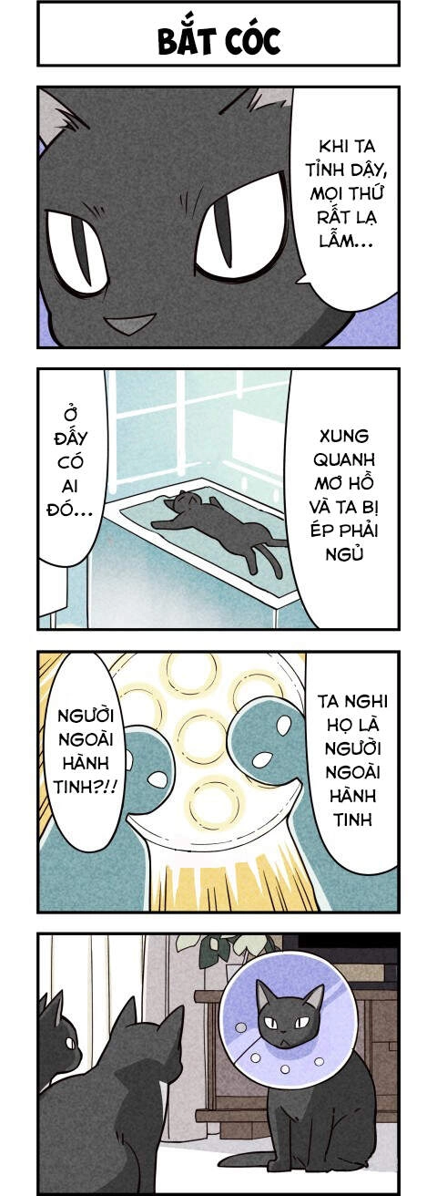 We Are Cat Chapter 9 - 6