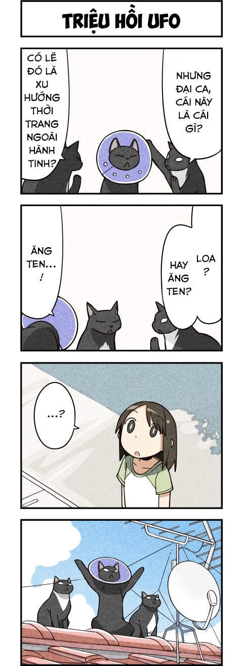 We Are Cat Chapter 9 - 7