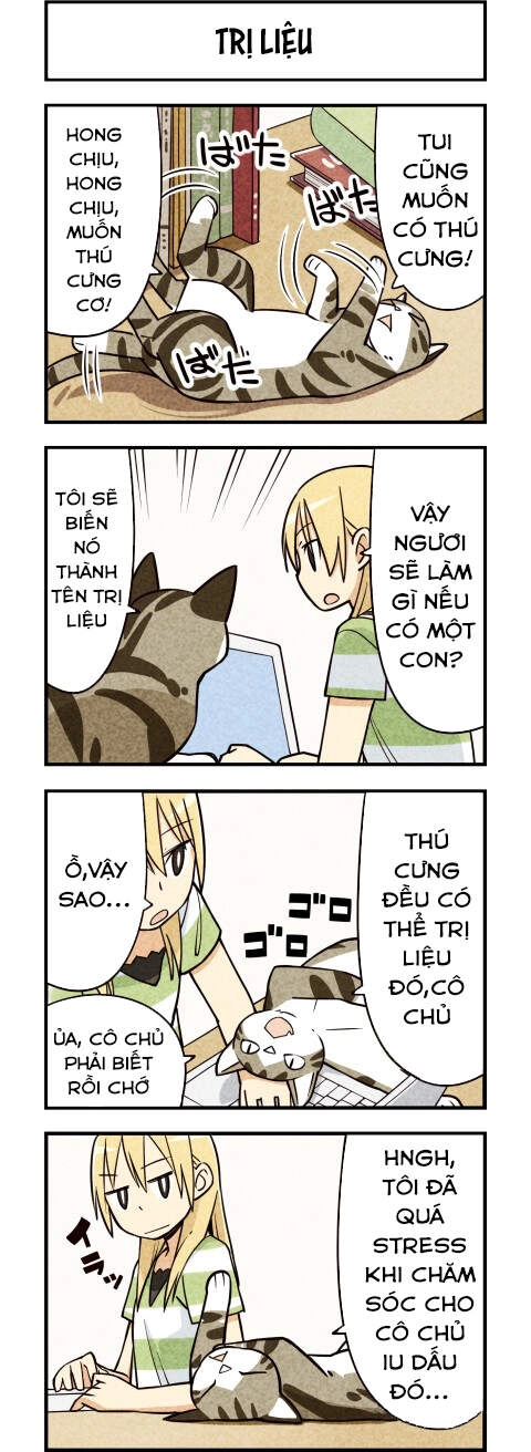 We Are Cat Chapter 11 - 3