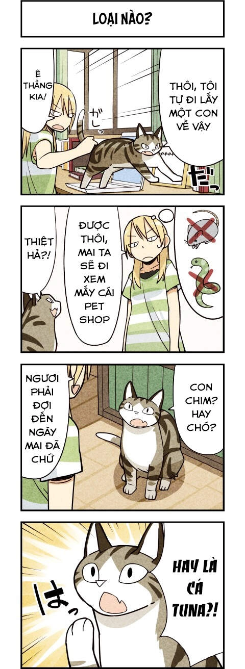 We Are Cat Chapter 11 - 4