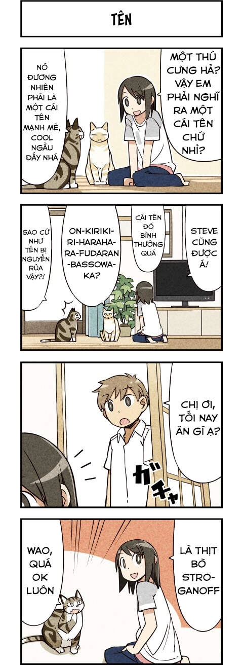 We Are Cat Chapter 11 - 5