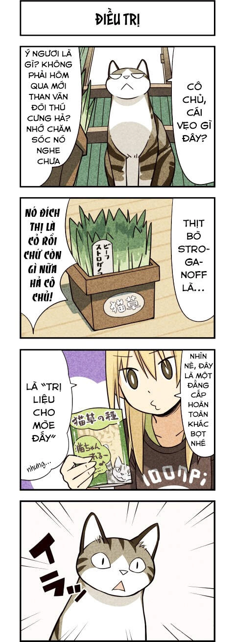 We Are Cat Chapter 11 - 6