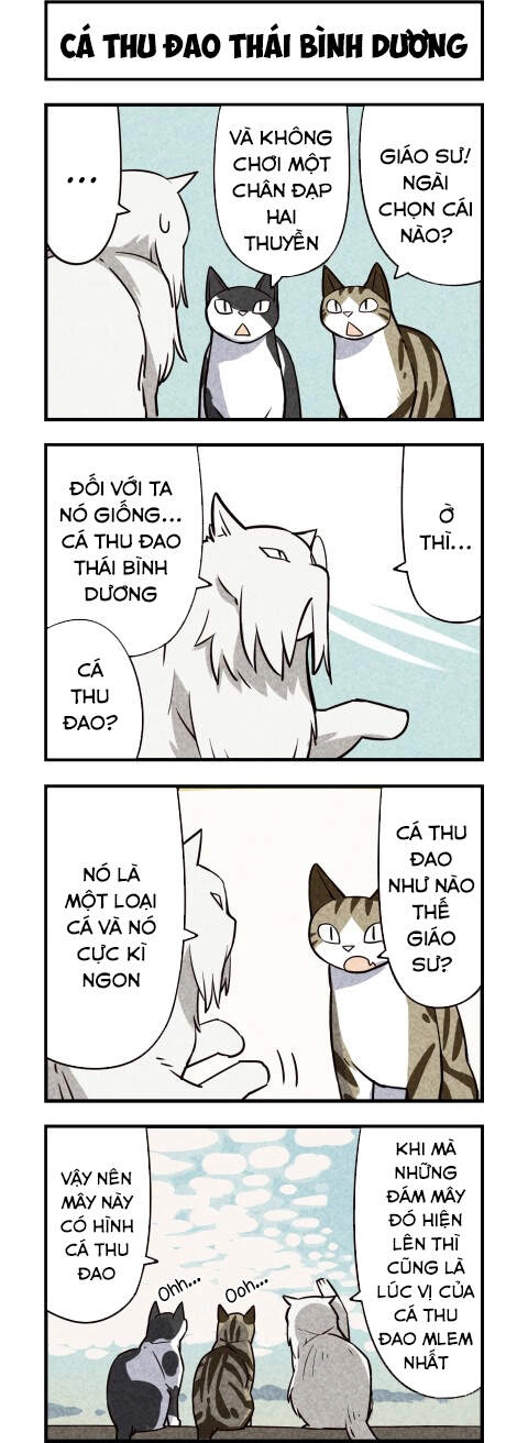 We Are Cat Chapter 12 - 5