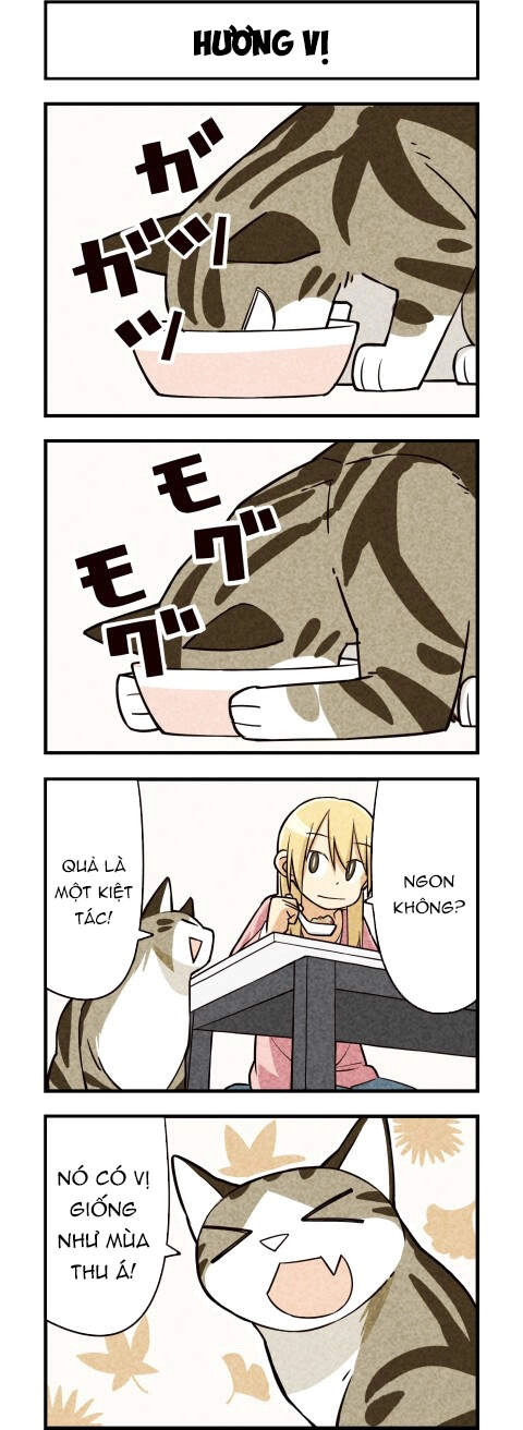 We Are Cat Chapter 12 - 7