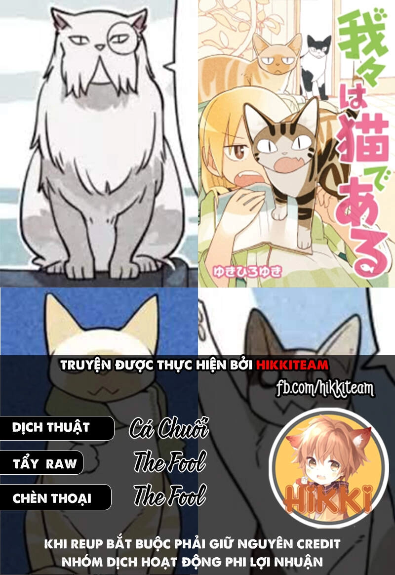 We Are Cat Chapter 13 - 1