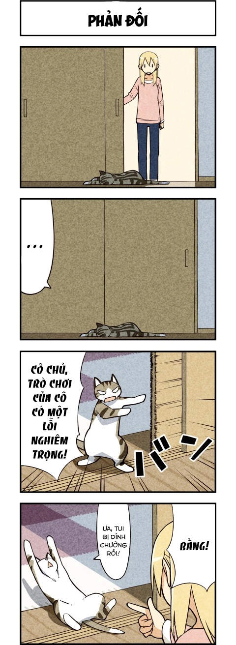 We Are Cat Chapter 13 - 5