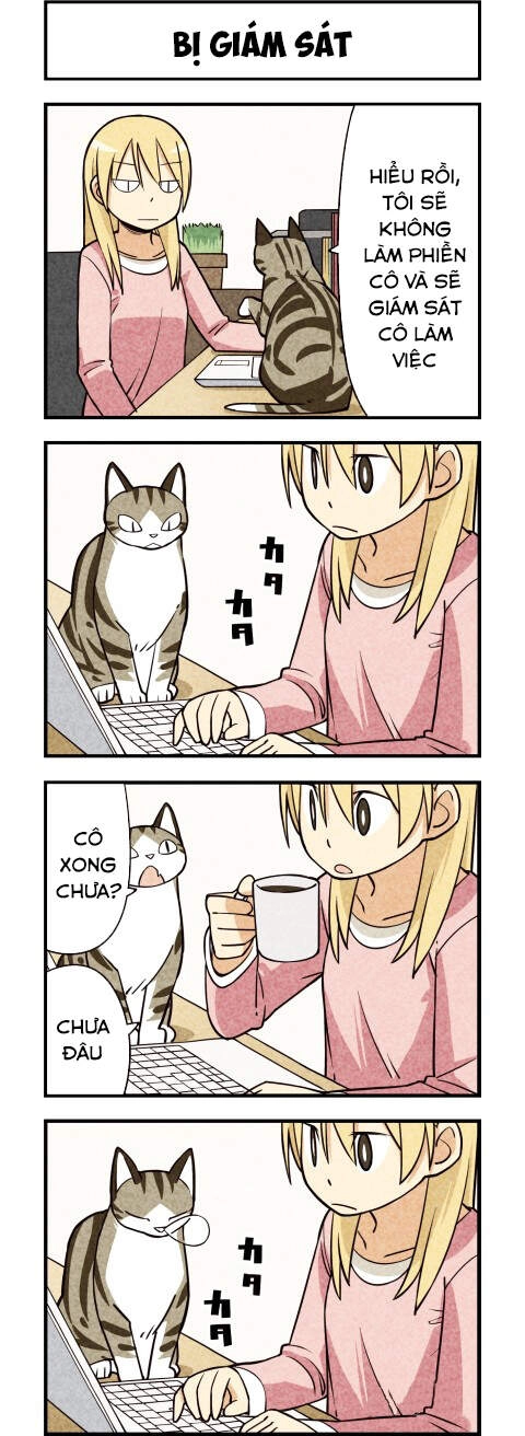 We Are Cat Chapter 13 - 6