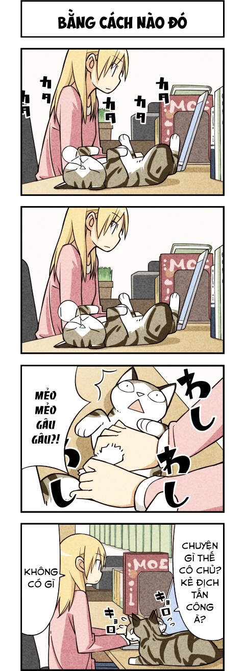 We Are Cat Chapter 13 - 7