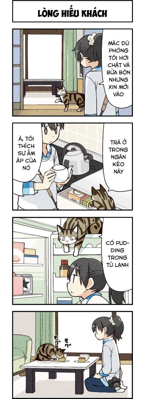 We Are Cat Chapter 14 - 5