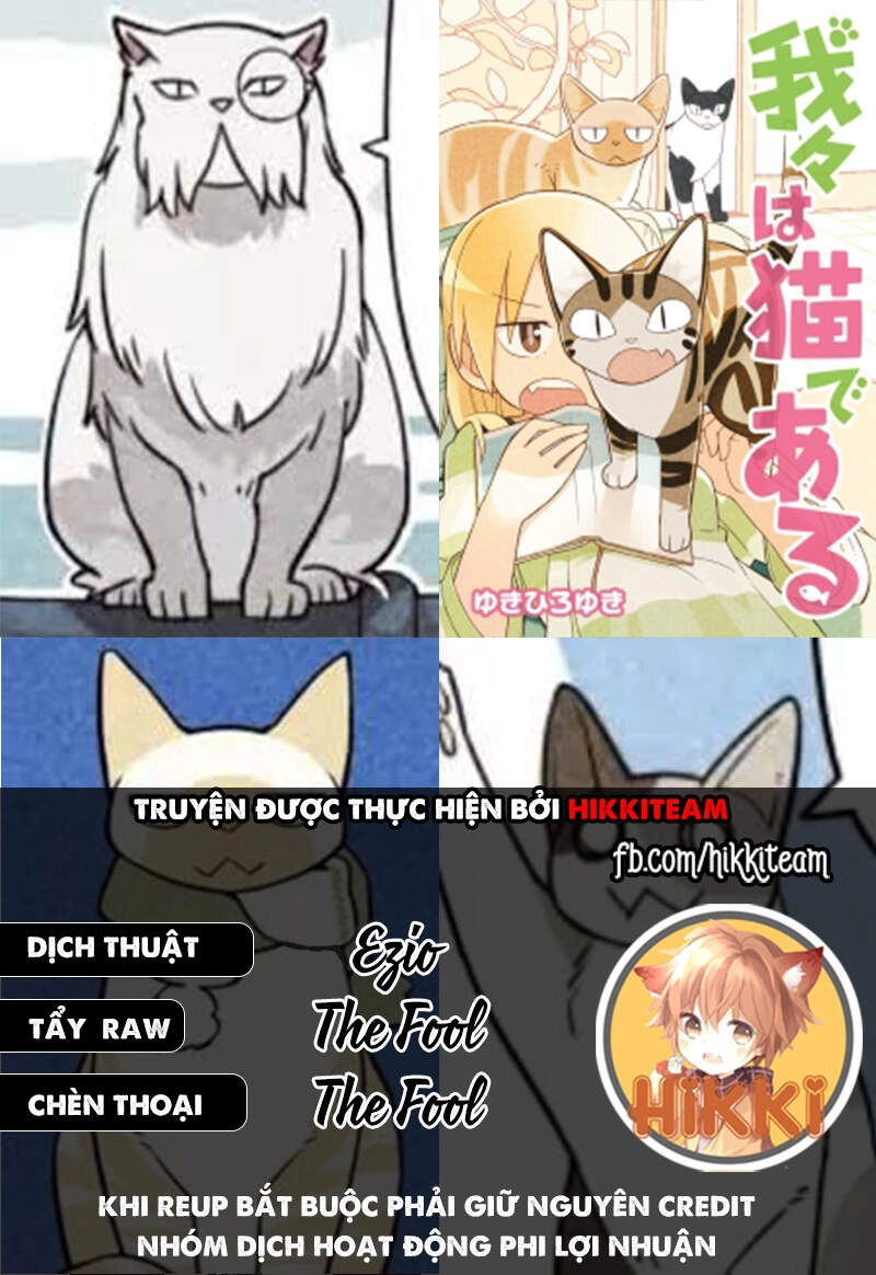 We Are Cat Chapter 15 - 1