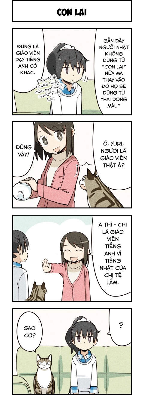 We Are Cat Chapter 15 - 5