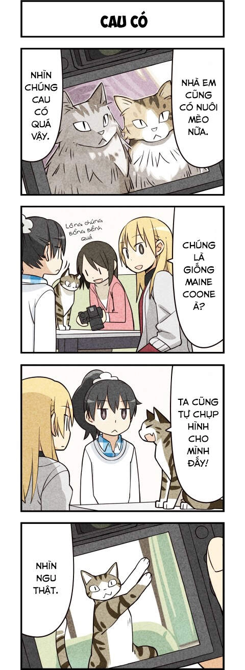 We Are Cat Chapter 15 - 6