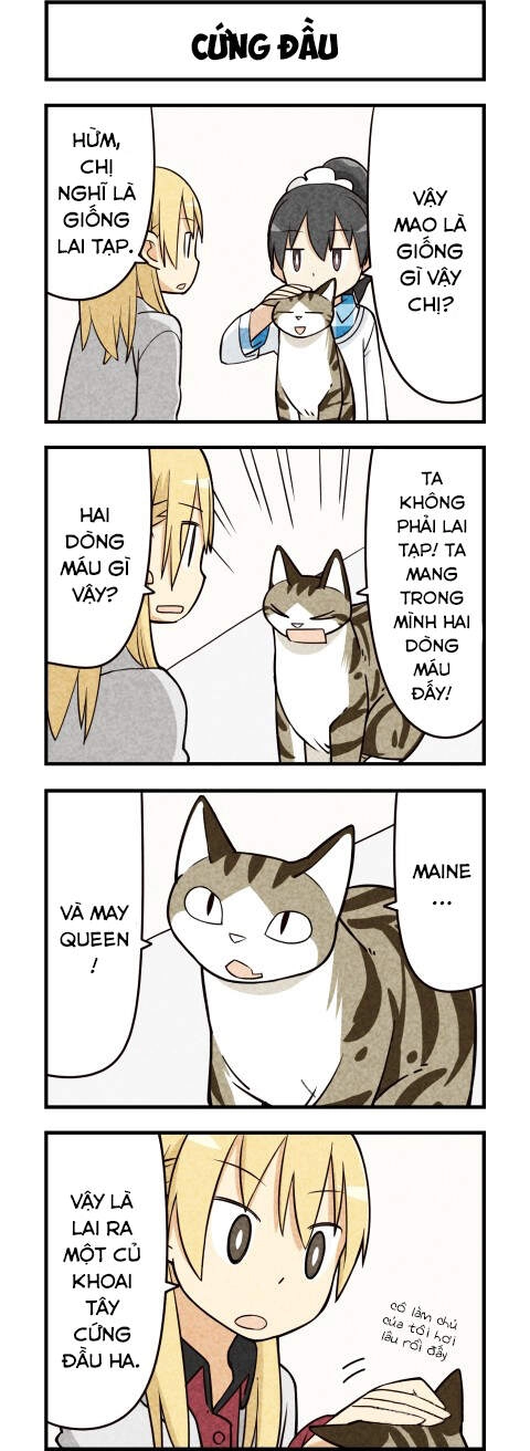 We Are Cat Chapter 15 - 7