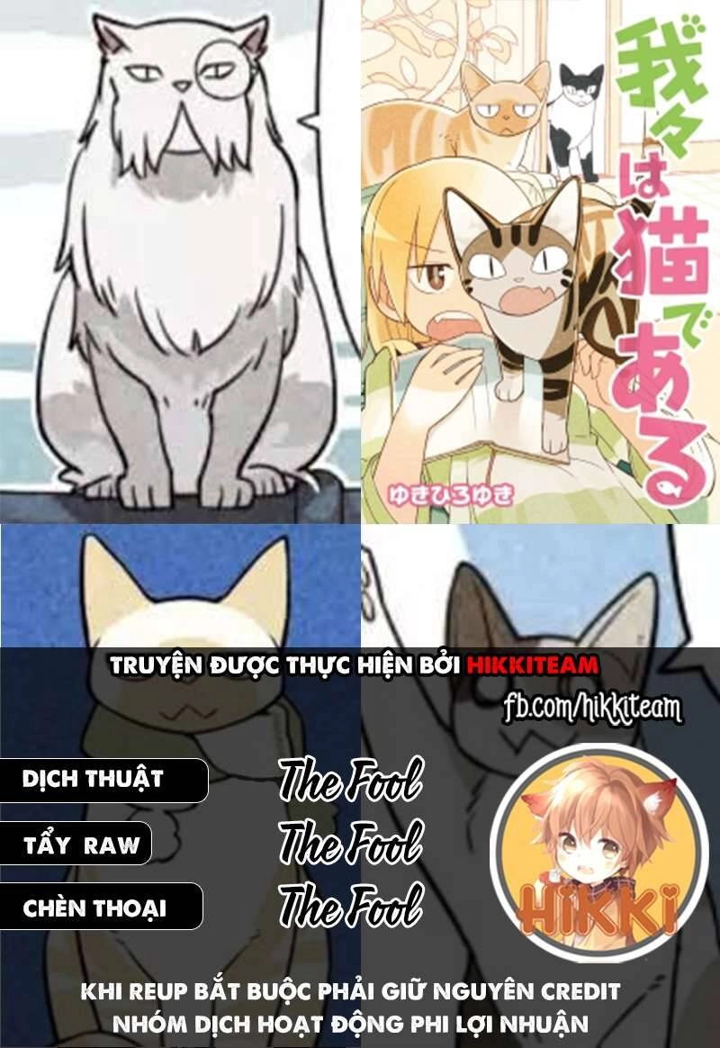 We Are Cat Chapter 16 - 1