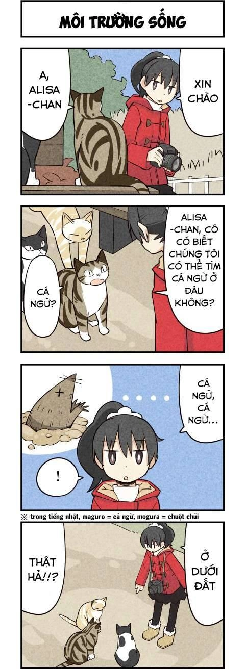 We Are Cat Chapter 16 - 3