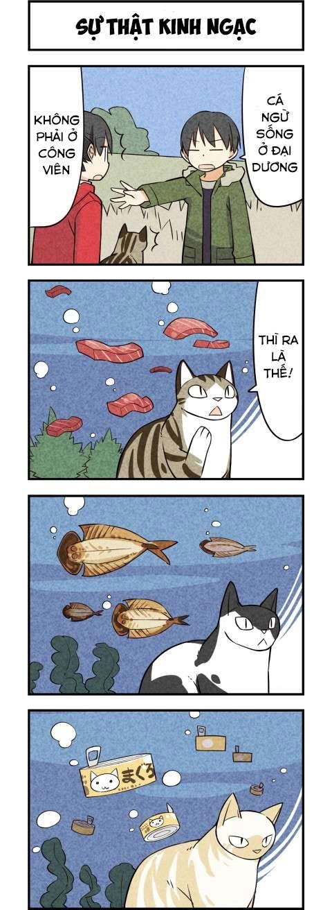 We Are Cat Chapter 16 - 5