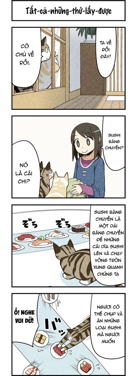 We Are Cat Chapter 18 - 3