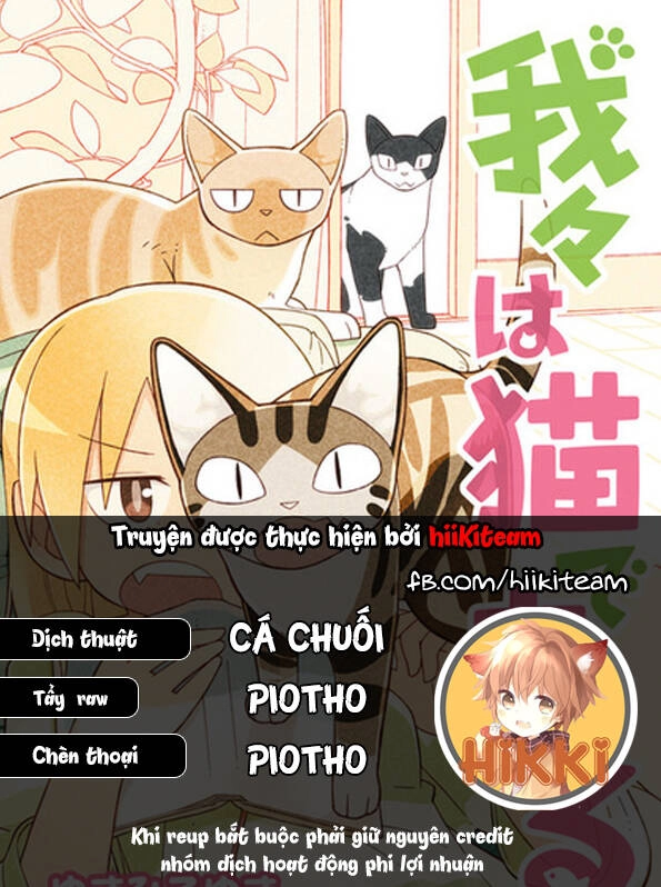 We Are Cat Chapter 19 - 1