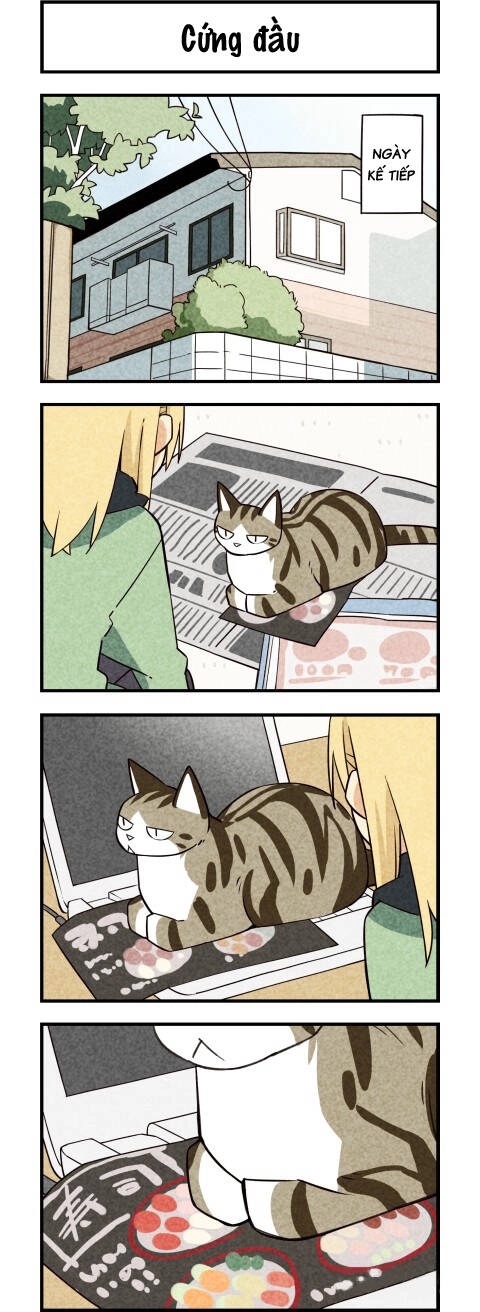 We Are Cat Chapter 19 - 2