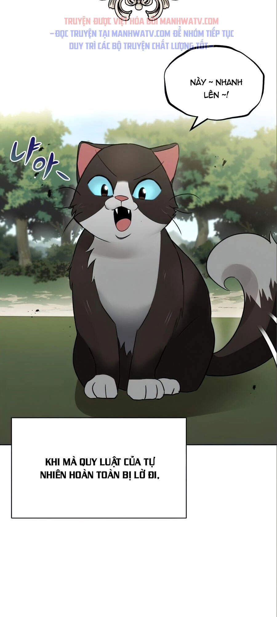 Con Đường Võ Giả Của Phế Vật Chapter 20 - 10