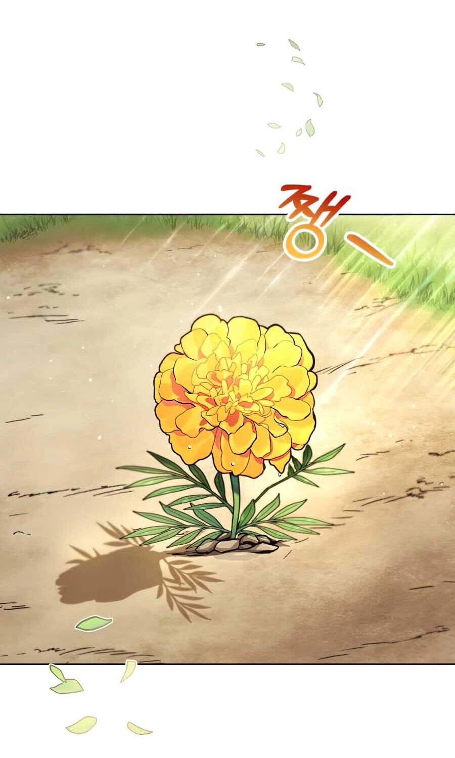 Con Đường Võ Giả Của Phế Vật Chapter 29 - 87