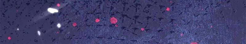 Trọng Sinh Khí Thiếu Quy Lai Chapter 174 - 12