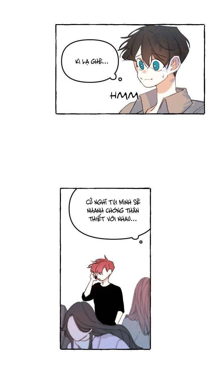 Lời Yêu Thì Cần App Để Dịch Không? Chapter 10 - 13