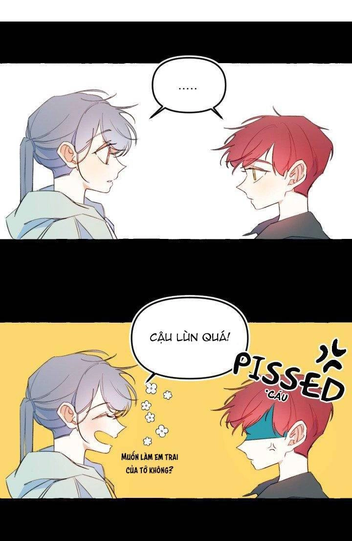 Lời Yêu Thì Cần App Để Dịch Không? Chapter 11 - 2