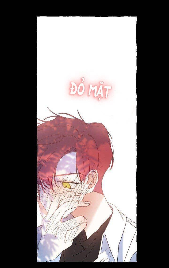 Lời Yêu Thì Cần App Để Dịch Không? Chapter 11 - 29