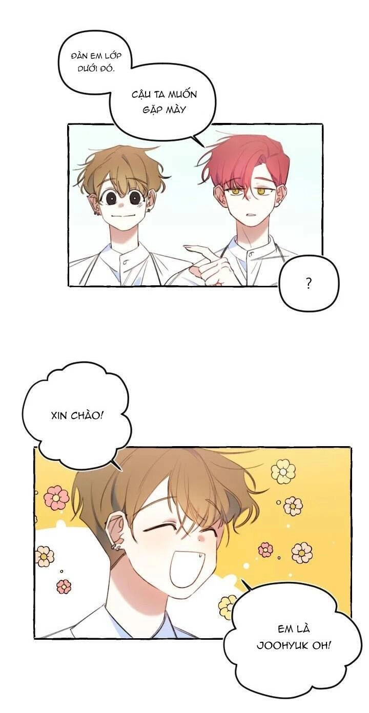 Lời Yêu Thì Cần App Để Dịch Không? Chapter 15 - 3