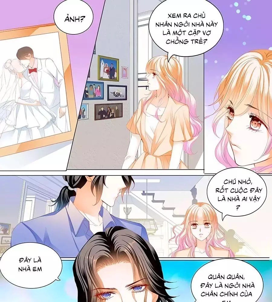 Bá Đạo Tiểu Thúc, Xin Trêu Chọc Vừa Thôi! Chapter 112 - 5