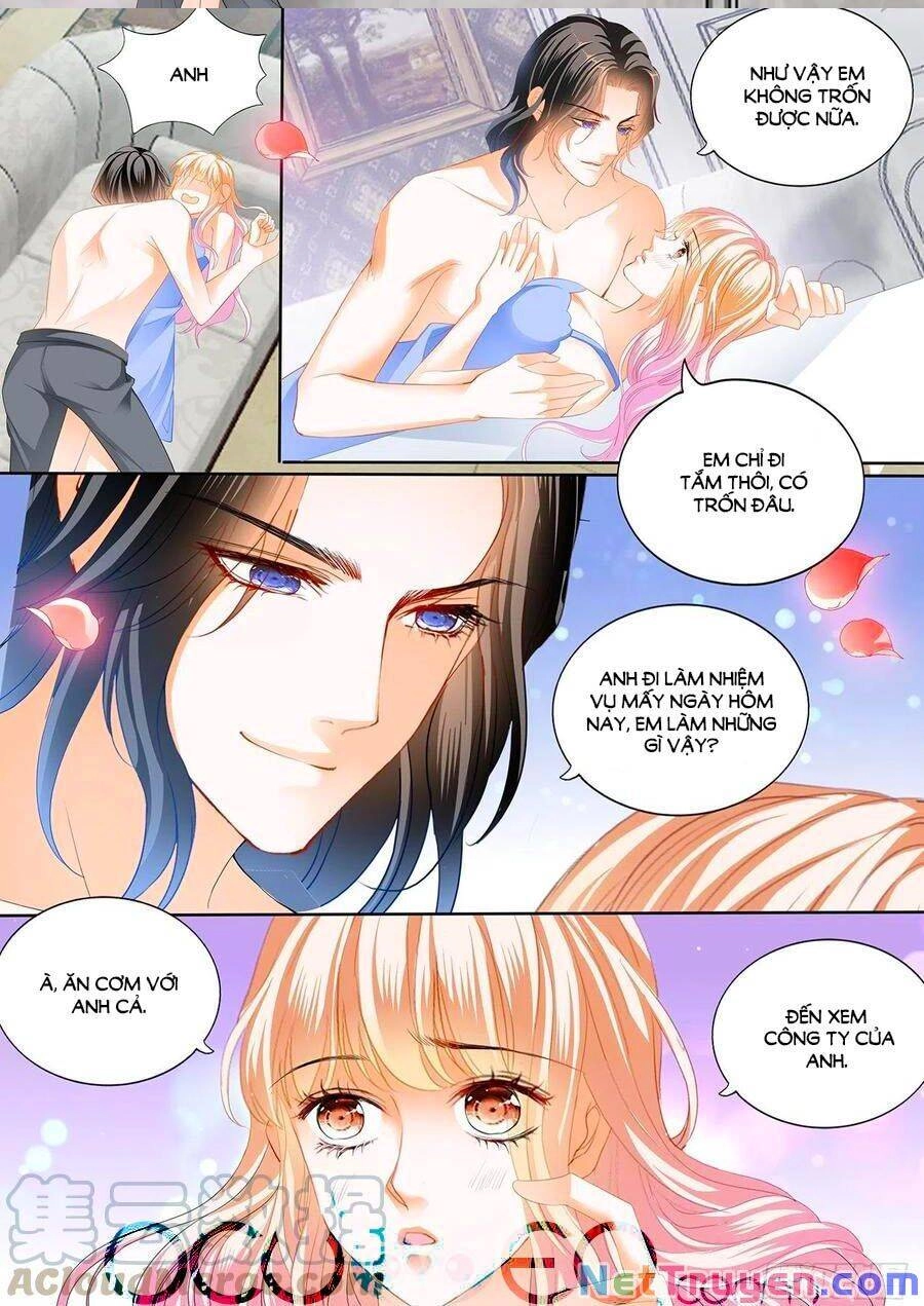 Bá Đạo Tiểu Thúc, Xin Trêu Chọc Vừa Thôi! Chapter 241 - 5