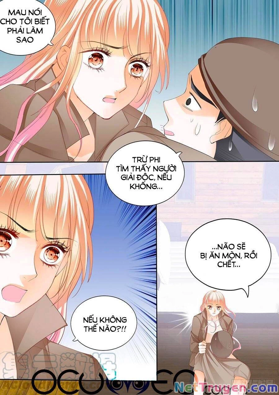 Bá Đạo Tiểu Thúc, Xin Trêu Chọc Vừa Thôi! Chapter 249 - 3