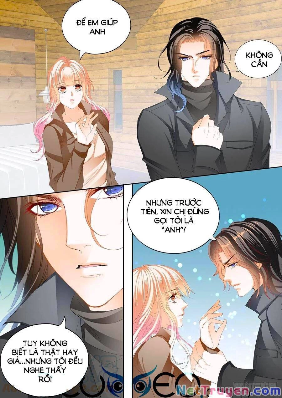 Bá Đạo Tiểu Thúc, Xin Trêu Chọc Vừa Thôi! Chapter 249 - 6