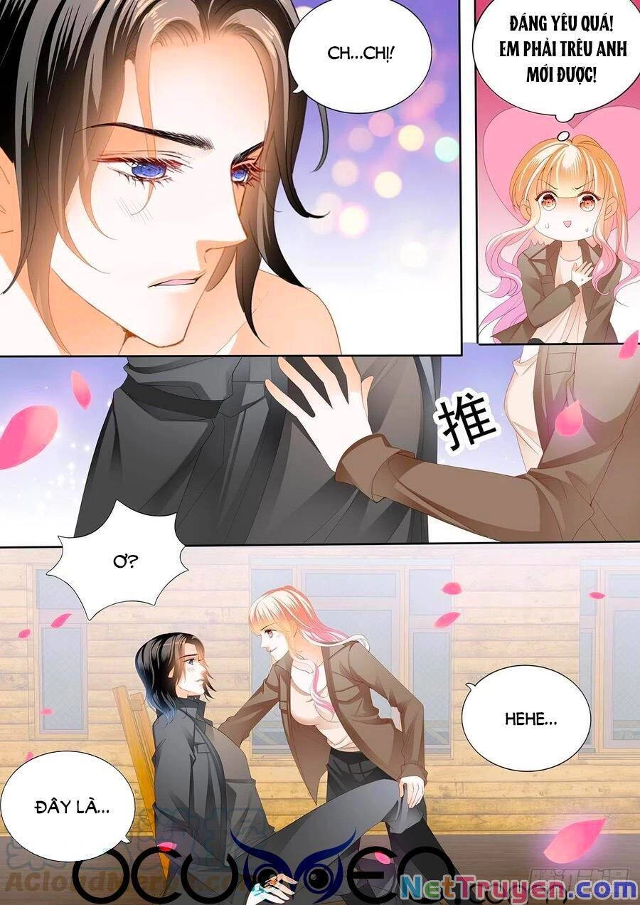 Bá Đạo Tiểu Thúc, Xin Trêu Chọc Vừa Thôi! Chapter 249 - 9